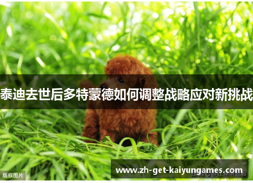 泰迪去世后多特蒙德如何调整战略应对新挑战 泰迪去世后多特蒙德如何调整战略应对新挑战